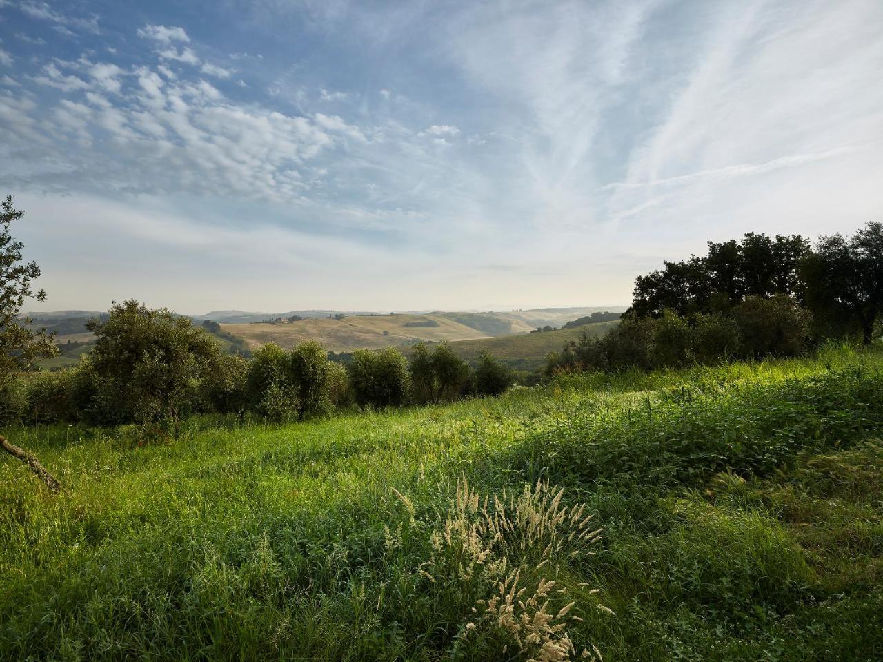 Villa Borgo Lucignanello Bandini San Giovanni dʼAsso Exterior foto